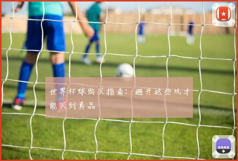 世界杯球购买指南：避开这些坑才能买到真品