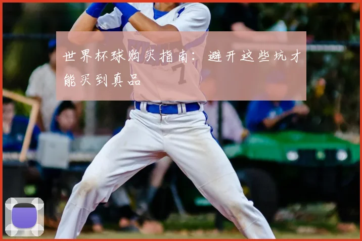 世界杯球购买指南：避开这些坑才能买到真品