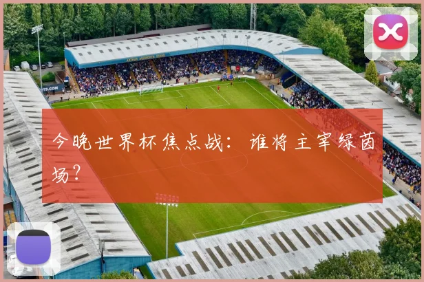 今晚世界杯焦点战：谁将主宰绿茵场？