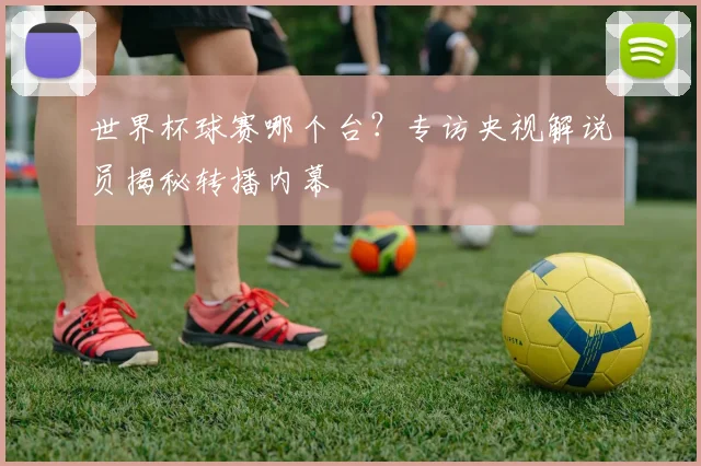 世界杯球赛哪个台？专访央视解说员揭秘转播内幕