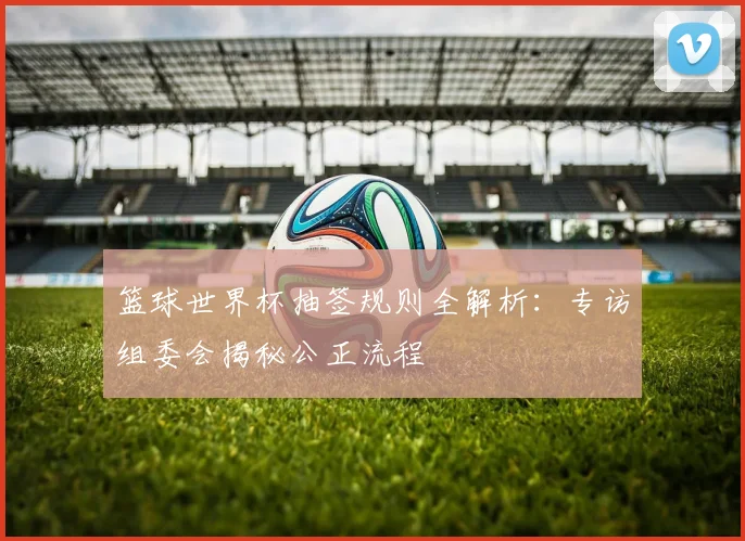 篮球世界杯抽签规则全解析：专访组委会揭秘公正流程