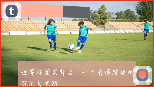 世界杯菠菜背后：一个普通球迷的沉沦与觉醒